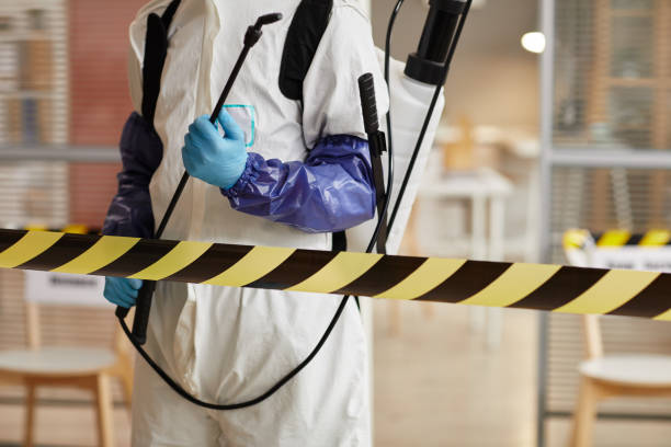 Professional Hoarding Cleanup technician working in Belford, NJ